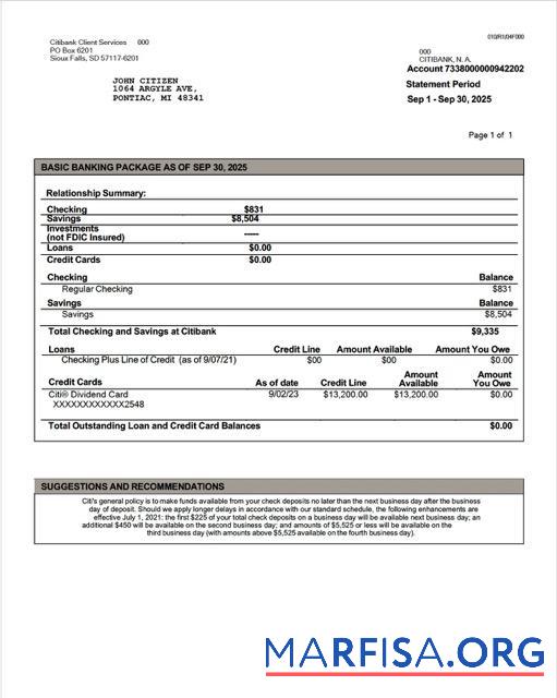 Downloadable USA Citibank account statement word version 2 sample